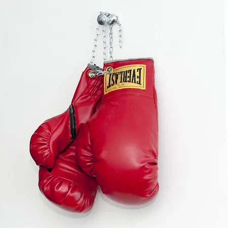 Brainport And Отель Гельдроп